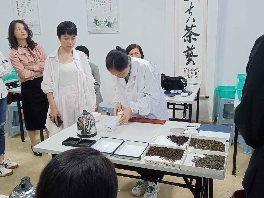 峻德职校——“评茶员考证班”实训课开始啦