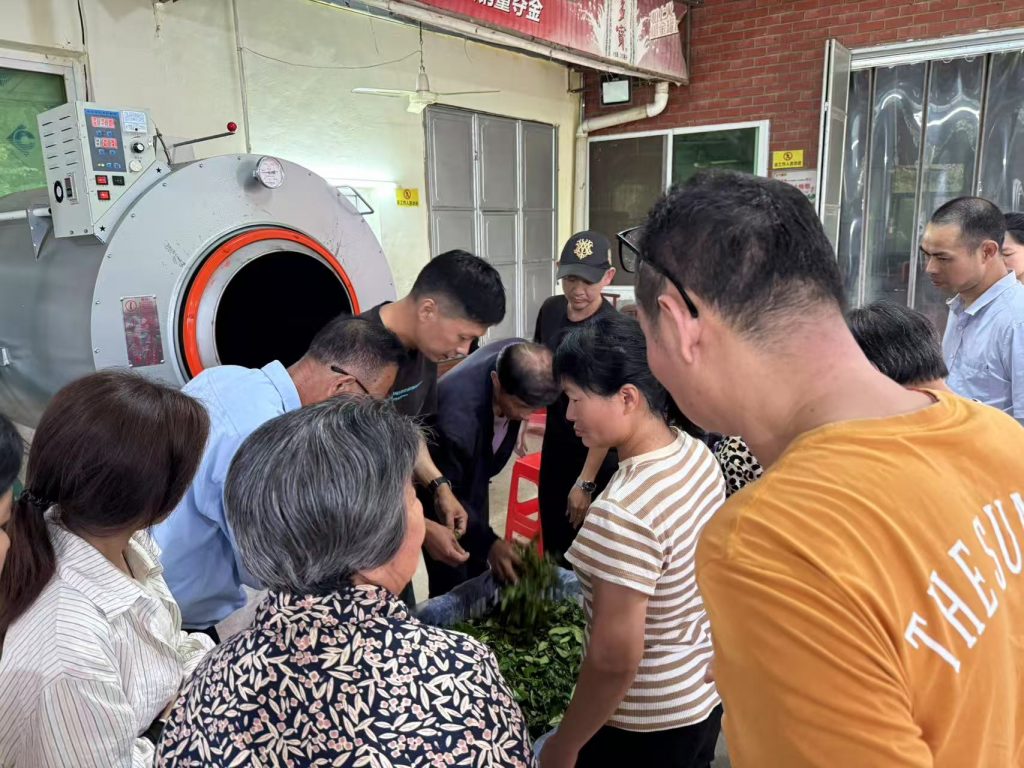 湘桥区残联开展残疾人茶叶技能培训！